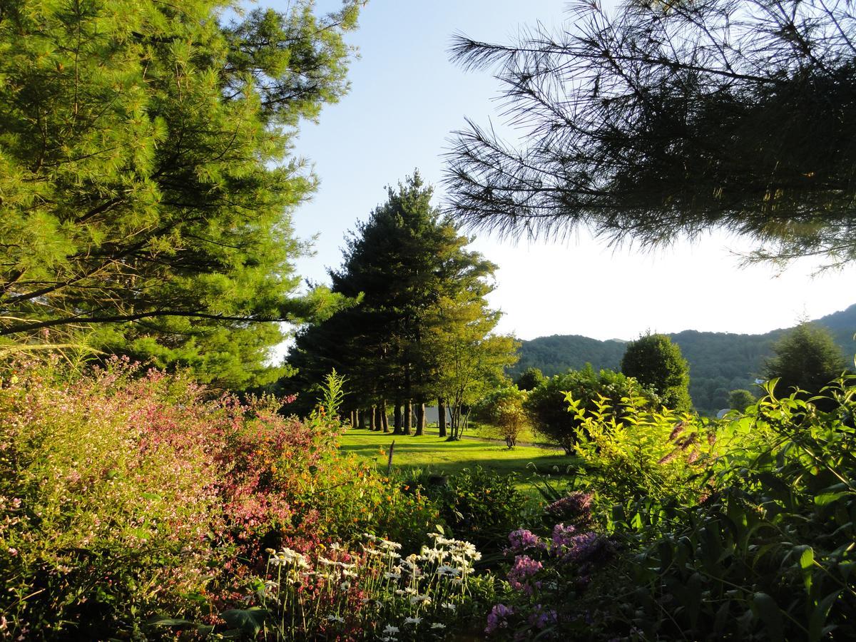 4 Seasons At Beech Mountain Hotel Екстериор снимка